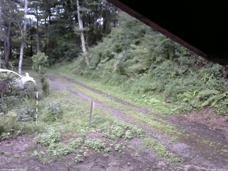 長野県菅平高原 ゆたか山荘 東側(坂下) 2025/08/11 14:45