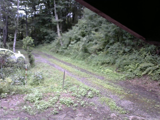 長野県菅平高原 ゆたか山荘 東側(坂下) 2025/08/11 15:00