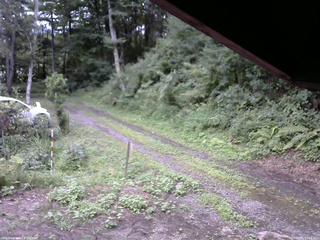 長野県菅平高原 ゆたか山荘 東側(坂下) 2025/08/11 15:15