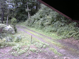 長野県菅平高原 ゆたか山荘 東側(坂下) 2025/08/11 15:30