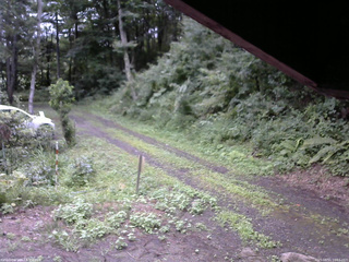 長野県菅平高原 ゆたか山荘 東側(坂下) 2025/08/11 16:15