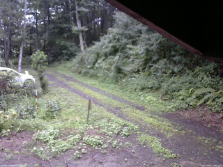 長野県菅平高原 ゆたか山荘 東側(坂下) 2025/08/11 16:30