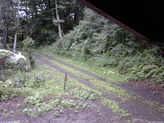 長野県菅平高原 ゆたか山荘 東側(坂下) 2025/08/11 17:15