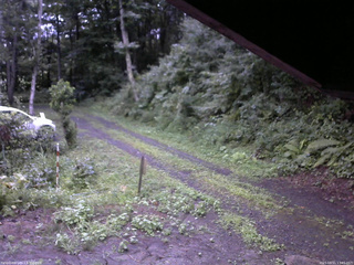 長野県菅平高原 ゆたか山荘 東側(坂下) 2025/08/11 17:45