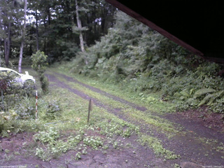 長野県菅平高原 ゆたか山荘 東側(坂下) 2025/08/11 18:15