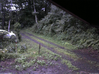 長野県菅平高原 ゆたか山荘 東側(坂下) 2025/08/11 18:30
