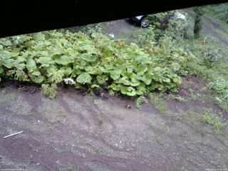 長野県菅平高原 ゆたか山荘 駐車場 2025/08/11 07:00