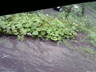 長野県菅平高原 ゆたか山荘 駐車場 2025/08/11 08:00