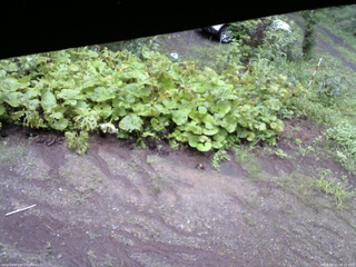 長野県菅平高原 ゆたか山荘 駐車場 2025/08/11 09:15