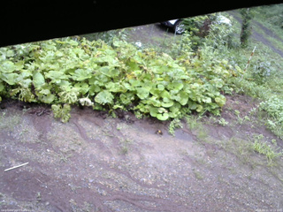 長野県菅平高原 ゆたか山荘 駐車場 2025/08/11 10:15
