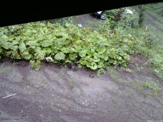 長野県菅平高原 ゆたか山荘 駐車場 2025/08/11 10:45