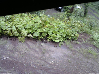 長野県菅平高原 ゆたか山荘 駐車場 2025/08/11 11:15