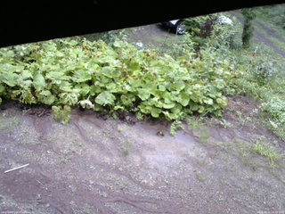 長野県菅平高原 ゆたか山荘 駐車場 2025/08/11 14:30