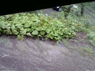 長野県菅平高原 ゆたか山荘 駐車場 2025/08/11 14:45