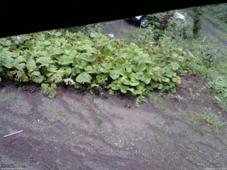 長野県菅平高原 ゆたか山荘 駐車場 2025/08/11 17:15