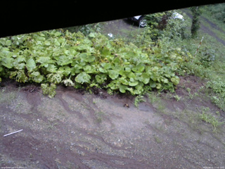 長野県菅平高原 ゆたか山荘 駐車場 2025/08/11 17:45