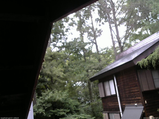 長野県菅平高原 ゆたか山荘 北側 2025/08/12 08:30