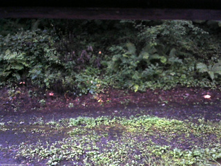 長野県菅平高原 ゆたか山荘 南側 2025/08/12 05:15