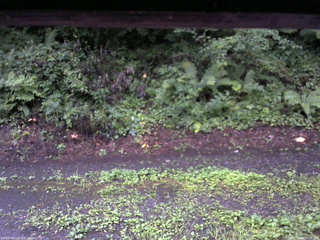 長野県菅平高原 ゆたか山荘 南側 2025/08/12 05:30