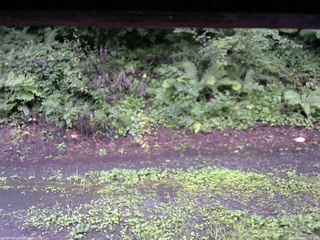 長野県菅平高原 ゆたか山荘 南側 2025/08/12 07:45