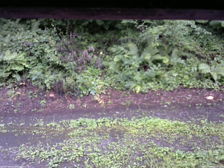 長野県菅平高原 ゆたか山荘 南側 2025/08/12 08:00