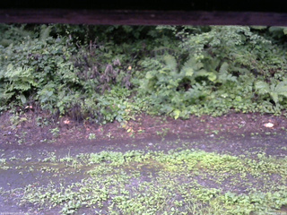 長野県菅平高原 ゆたか山荘 南側 2025/08/12 08:15