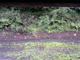 長野県菅平高原 ゆたか山荘 南側 2025/08/12 08:30