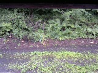 長野県菅平高原 ゆたか山荘 南側 2025/08/12 09:30