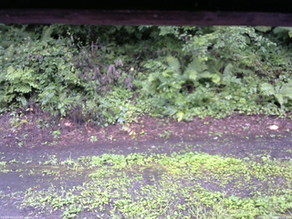 長野県菅平高原 ゆたか山荘 南側 2025/08/12 09:45