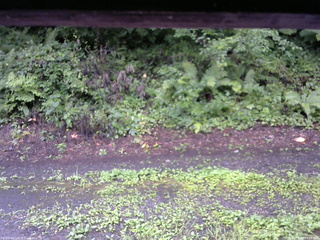 長野県菅平高原 ゆたか山荘 南側 2025/08/12 10:15