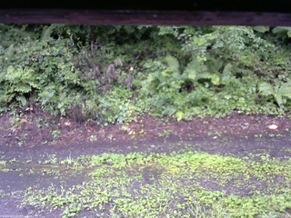 長野県菅平高原 ゆたか山荘 南側 2025/08/12 11:15