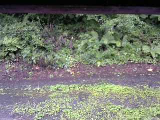 長野県菅平高原 ゆたか山荘 南側 2025/08/12 11:30