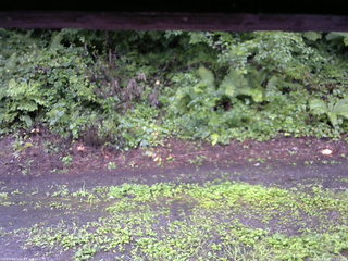 長野県菅平高原 ゆたか山荘 南側 2025/08/12 12:15