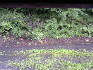 長野県菅平高原 ゆたか山荘 南側 2025/08/12 12:30