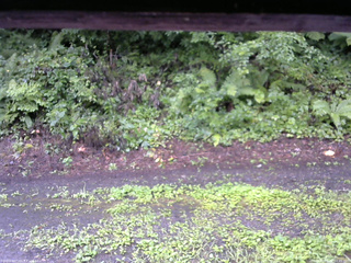 長野県菅平高原 ゆたか山荘 南側 2025/08/12 12:45