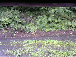 長野県菅平高原 ゆたか山荘 南側 2025/08/12 13:00