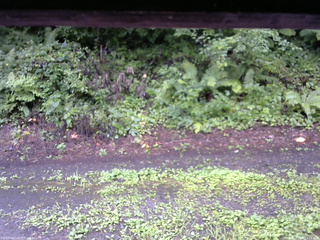 長野県菅平高原 ゆたか山荘 南側 2025/08/12 13:15