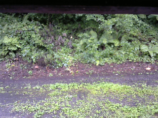 長野県菅平高原 ゆたか山荘 南側 2025/08/12 14:15