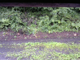 長野県菅平高原 ゆたか山荘 南側 2025/08/12 14:30