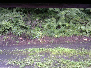 長野県菅平高原 ゆたか山荘 南側 2025/08/12 14:45