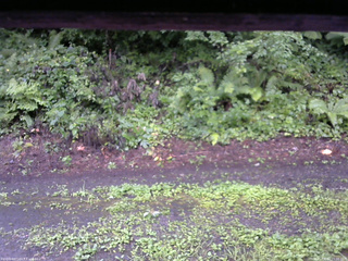 長野県菅平高原 ゆたか山荘 南側 2025/08/12 15:00