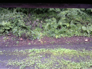 長野県菅平高原 ゆたか山荘 南側 2025/08/12 15:15