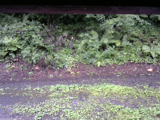 長野県菅平高原 ゆたか山荘 南側 2025/08/12 16:30