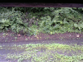 長野県菅平高原 ゆたか山荘 南側 2025/08/12 17:00