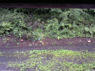 長野県菅平高原 ゆたか山荘 南側 2025/08/12 17:45