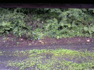 長野県菅平高原 ゆたか山荘 南側 2025/08/12 18:00