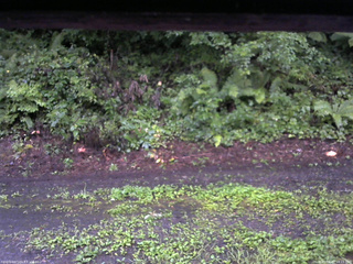 長野県菅平高原 ゆたか山荘 南側 2025/08/12 18:15