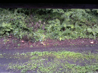 長野県菅平高原 ゆたか山荘 南側 2025/08/12 18:30