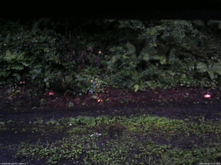 長野県菅平高原 ゆたか山荘 南側 2025/08/12 18:45