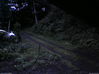 長野県菅平高原 ゆたか山荘 東側(坂下) 2025/08/12 05:00